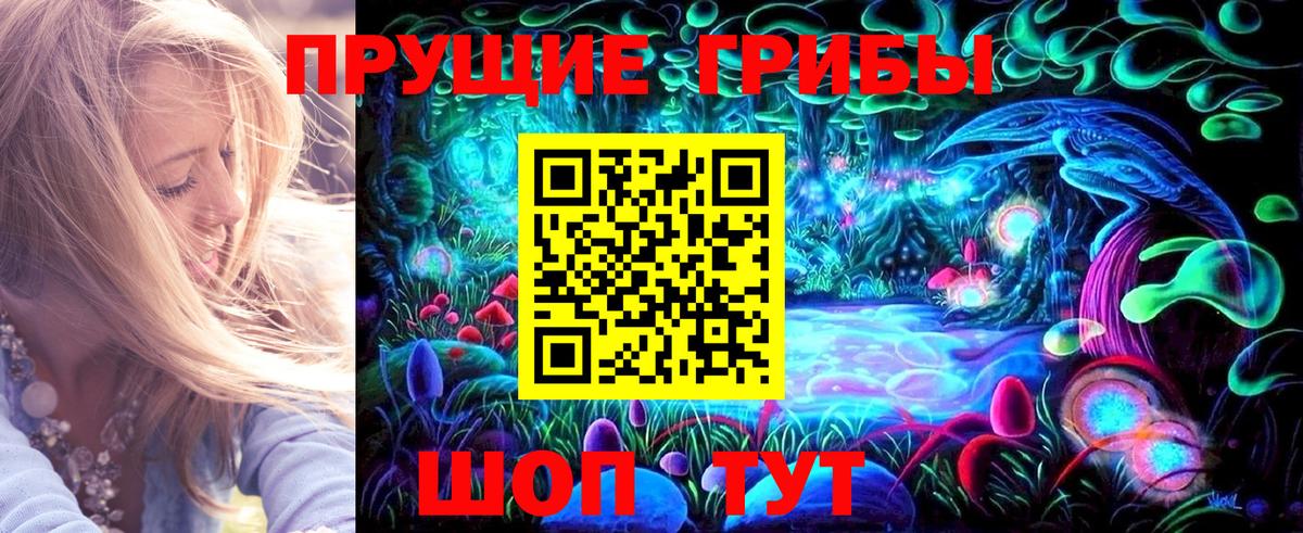 Псилоцибиновые грибы Magic Shrooms  Вход с VPN  Златоуст  Галлюциногенные грибы Psilocybe 